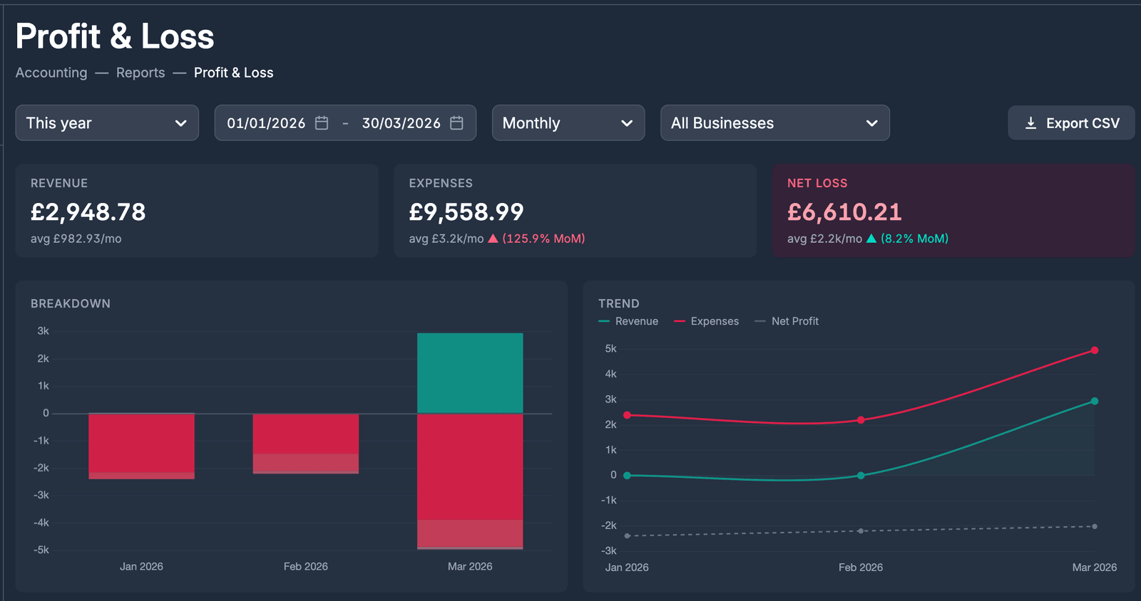 P&L and balance sheet reports in Briefcase One